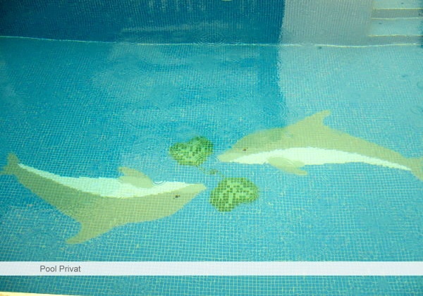 2-schwimmbad-privat-poolmosaik-delfin.jpg